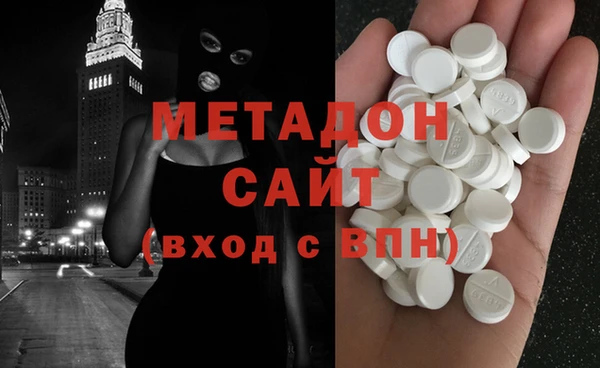 прущие грибы Горняк