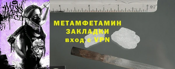 прущие грибы Горняк