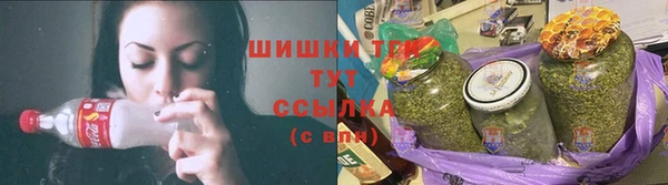 прущие грибы Горняк