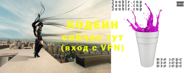 прущие грибы Горняк