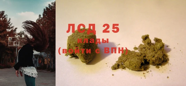 прущие грибы Горняк