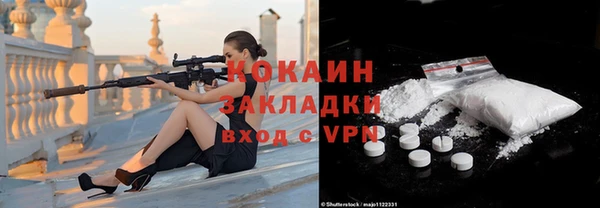 прущие грибы Горняк