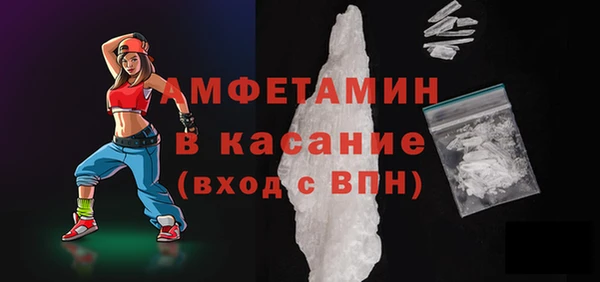 прущие грибы Горняк