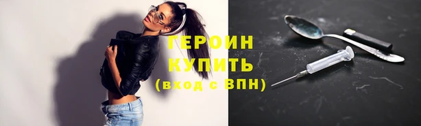 прущие грибы Горняк