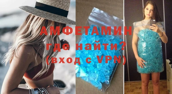 прущие грибы Горняк