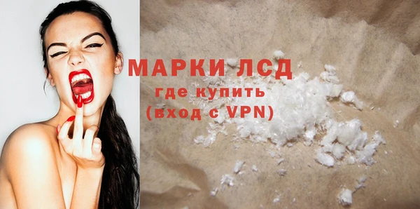 прущие грибы Горняк