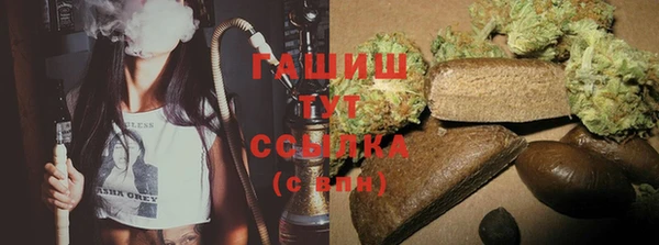 прущие грибы Горняк