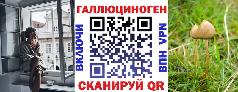 Галлюциногенные грибы Magic Shrooms  Купить  Шебекино 